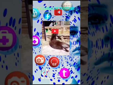 meme:La caída de YouTube #short #divertido #memes #troll #funnymemes