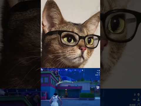 Not at all #trendingshorts #funny #memesdaily #memes #relatablestories #fypシ゚viral #fortnite #subs