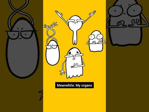 Funny Memes Compilation 😂 | Try Not To Laugh #Shorts #YTReels