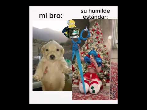 para q mentir si soy quiero q me apachurren la cara en unas nalgotas digna muerte #memes  #shorts