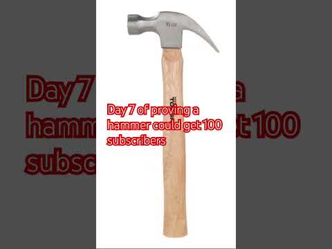 Day 7 #memes #funny #meme