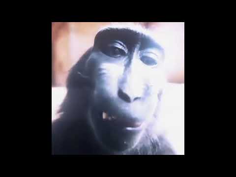 rizzzz🗿 #rizz #rizzler #funnyvideo #fyppppppppppppp #viral #meme #memes #rickroll #aura #funnyvideos