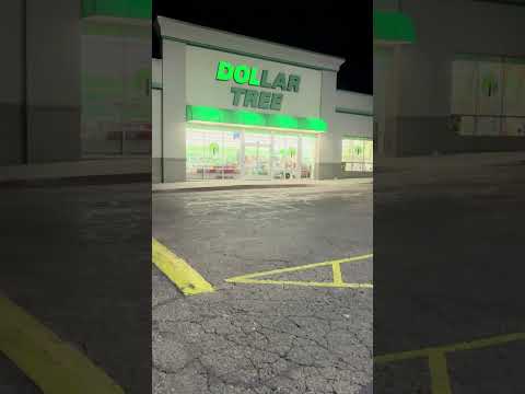 MY FAVORITE STORE IS THE DOL STORE #meme