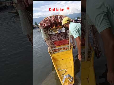 dal lake kashmir srinagar #kasmir #ravigupta #raviguptacomedy #funny #meme #minivlog #reels #shorts