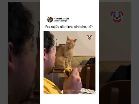 pra ração não tem dinheiro né 🤣🤣🤣😂😂😂😂😂😂#meme #memes #engraçados