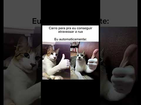 shorts #humor #viral #meme #funny #shorts #nao flopa