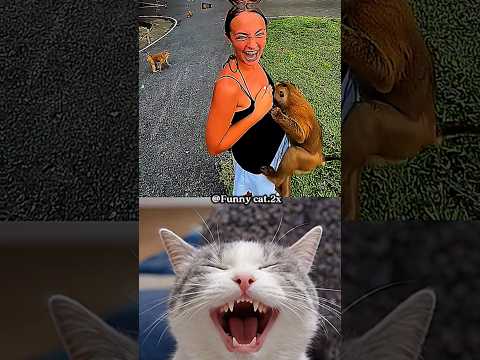 laugh girl unexpected 🐒 😲😱 #cat #memes #funny #shorts #trending