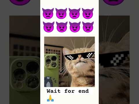 exam ki takat... #catmemes #viralmemes #memes #funny #schoolmemes #viral #shorts