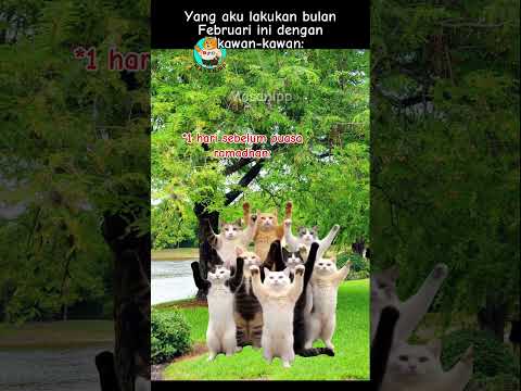 Disini waktu terasa sangat lama #meme #memekucing #ramadhan #kucinglucu #kucing #fyp #viral