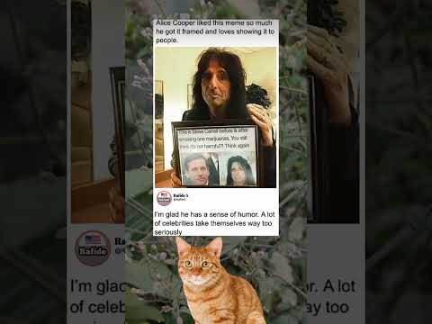 Alice Cooper Turned a Meme Into Wall Art